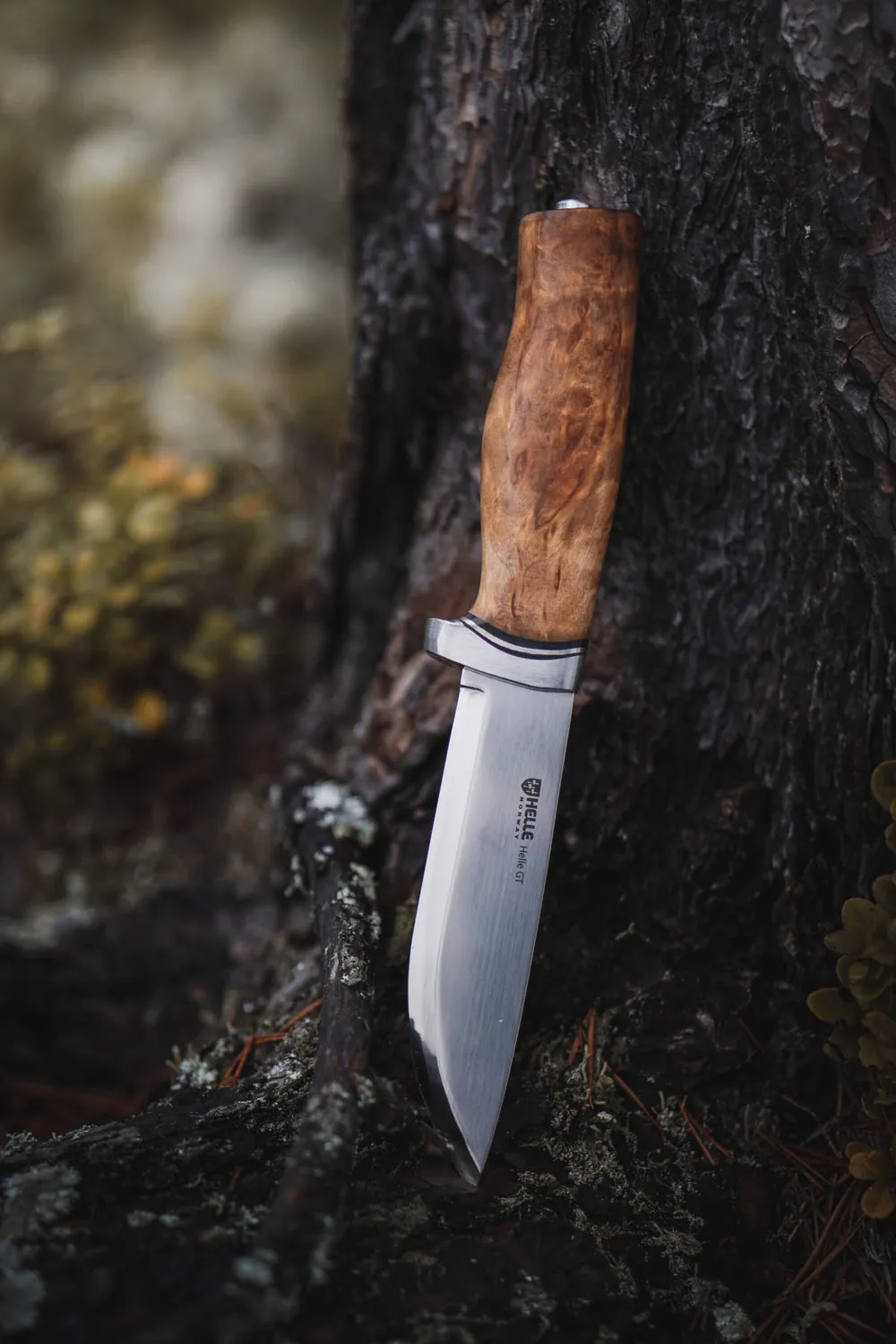 Helle GT 14C28N turkniv med masurbjørk