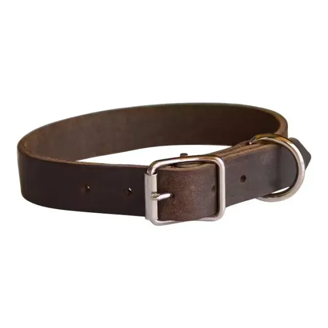 Edvardson lærhalsbånd 22 mm hund